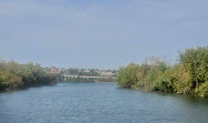 Theodore Roosevelt Island Pedestrian Bridge