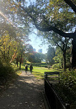 High Park Nature Centre