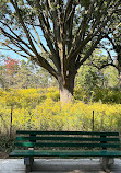 High Park Allotment Garden