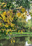 Hampshire Heights Park