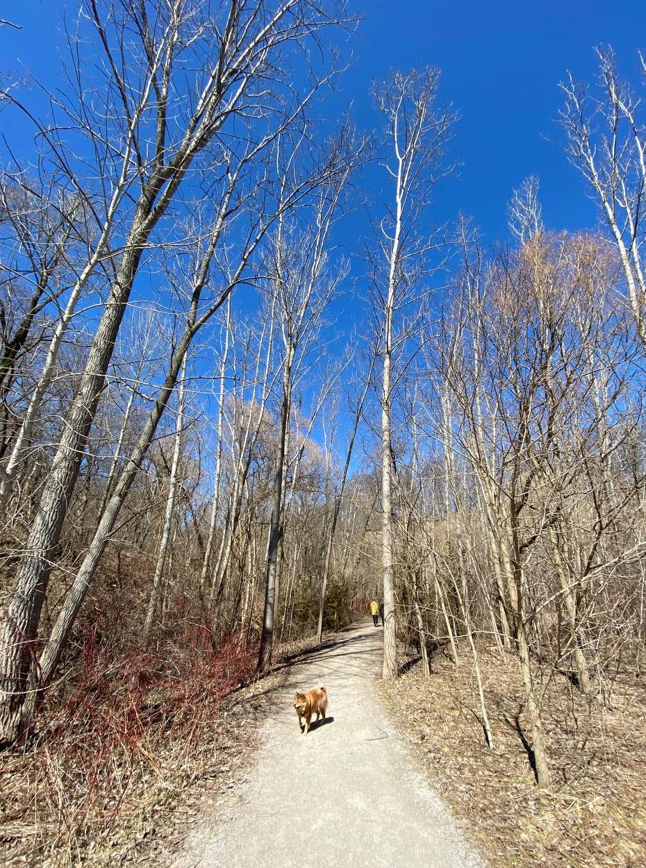 Don Valley Brickworks Park