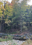 Don Valley Brickworks Park