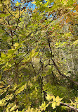 Don Valley Brickworks Park