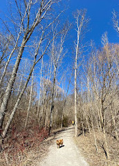 Don Valley Brickworks Park