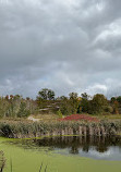 Don Valley Brickworks Park