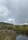 Don Valley Brickworks Park