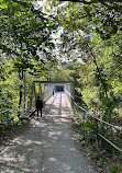 Don Valley Brickworks Park