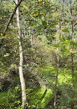 Don Valley Brickworks Park