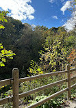 Don Valley Brickworks Park