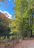 Don Valley Brickworks Park