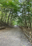 Don Valley Brickworks Park