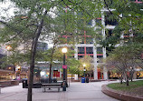 Simcoe Park