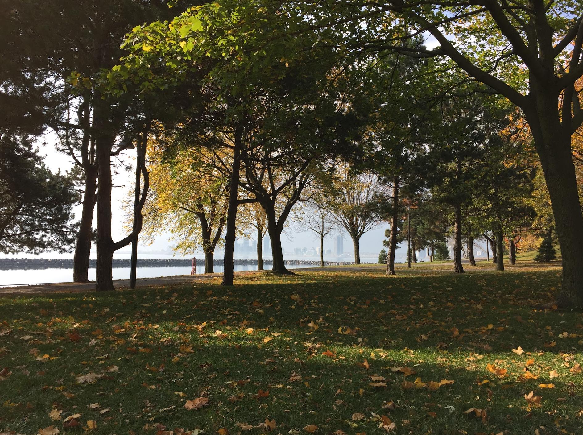 Marilyn Bell Park Disc Golf Course