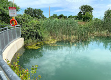 Parco per cani in riva al lago