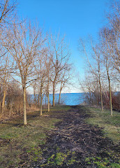 Parco per cani in riva al lago