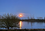 Humber Bay Shores Park