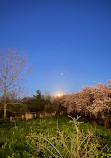 Humber Bay Shores Park