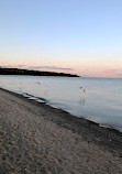 Woodbine Beach