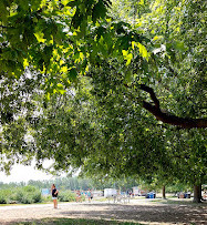 Woodbine Beach