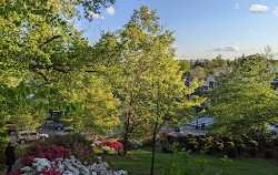 Book Hill Park