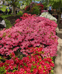 Book Hill Park