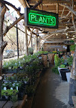 Urban Garden Center