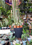 Urban Garden Center