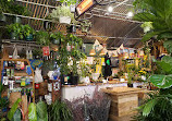 Urban Garden Center