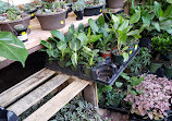 Urban Garden Center