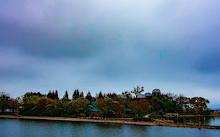 Lake Shore Boulevard Bailey Bridge