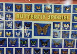 Dubai Butterfly Garden