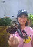 Dubai Butterfly Garden