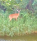 Oxon Run Park