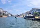 Paddle Out