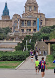 Lluís Companys Olympic Stadium