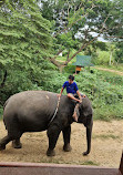 Chang Puak Elephant Camp Kanchanaburi