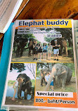 Chang Puak Elephant Camp Kanchanaburi