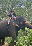 Chang Puak Elephant Camp Kanchanaburi