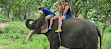 Chang Puak Elephant Camp Kanchanaburi