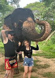 Chang Puak Elephant Camp Kanchanaburi