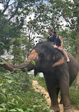 Chang Puak Elephant Camp Kanchanaburi