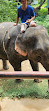 Chang Puak Elephant Camp Kanchanaburi