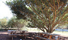 The Australian Botanic Garden Playground