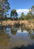 El patio de juegos del Jardín Botánico Australiano