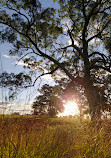 The Australian Botanic Garden Playground