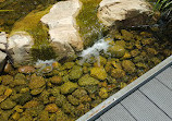 The Australian Botanic Garden Playground