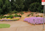 The Australian Botanic Garden Playground