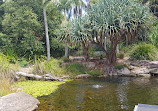 The Australian Botanic Garden Playground