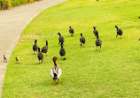 The Australian Botanic Garden Playground