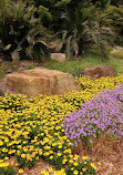 The Australian Botanic Garden Playground